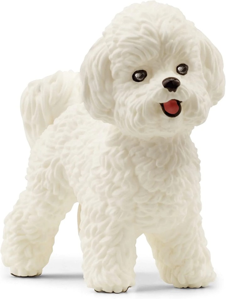 Modellino Action figure statua modellino   schleich BICHON FRISE da collezion...